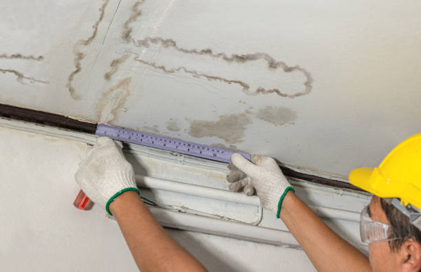 Reliable Basement Water Removal contractor in Swink, CO by Water Damage Irwin